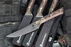 Microtech Cutlery- Steak Knife Set of Four 4.5"- Bronzed Titanium Bolster- Live Wire Carbon Fiber Handles- Black DLC Blade 3600B-1 SETDLCLWCFS