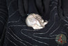 Harding Inc. Venom Bead-.925 Silver